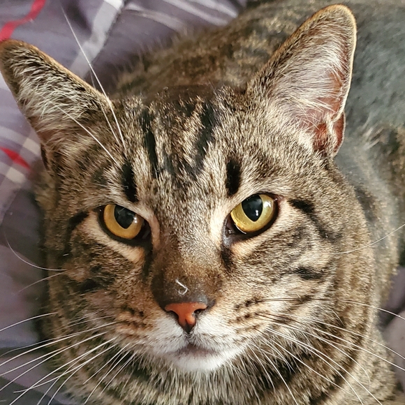 Meet your Posher, Robert - Picture 4 of 4